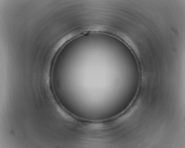 X0000114020845200910091412