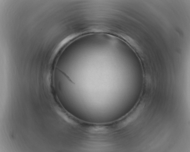X0000114020846200910091412