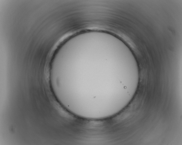 X0000114020848200910091412