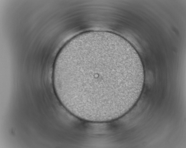 X0000114020856200910091412