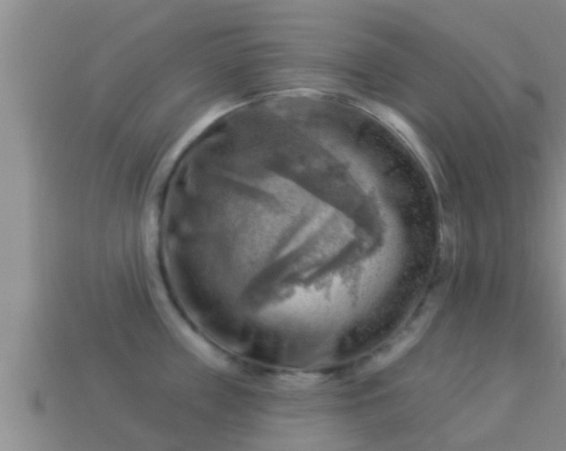 X0000114020859200910091412