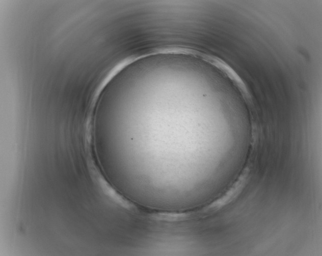 X0000114020860200910091412