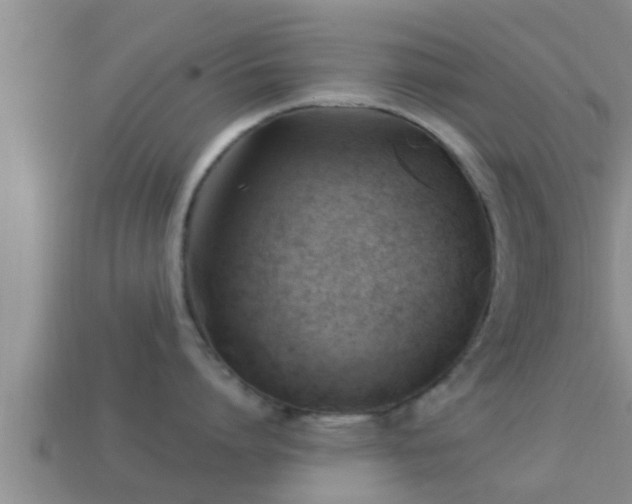 X0000114020864200910091412