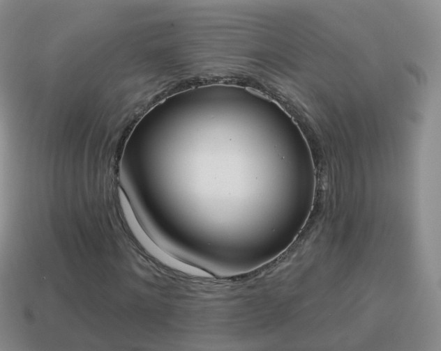 X0000114020868200910091412