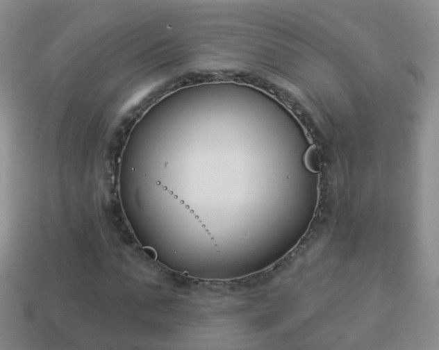 X0000114020871200910091411