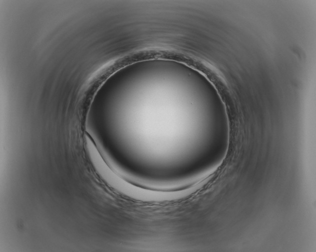 X0000114020872200910091411