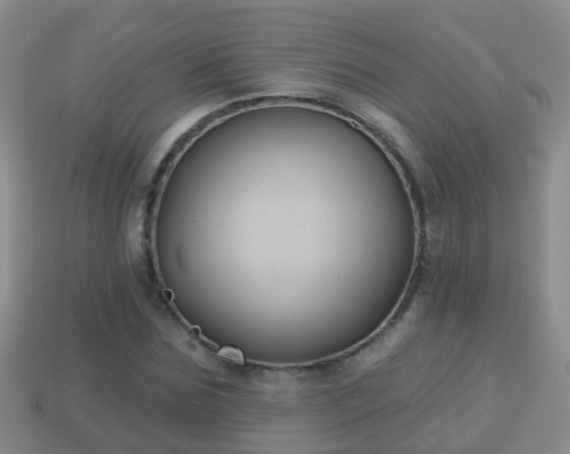 X0000114020875200910091411