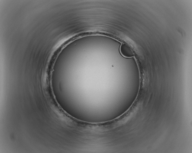 X0000114020876200910091411