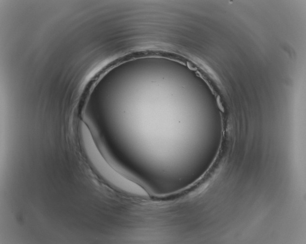 X0000114020877200910091411