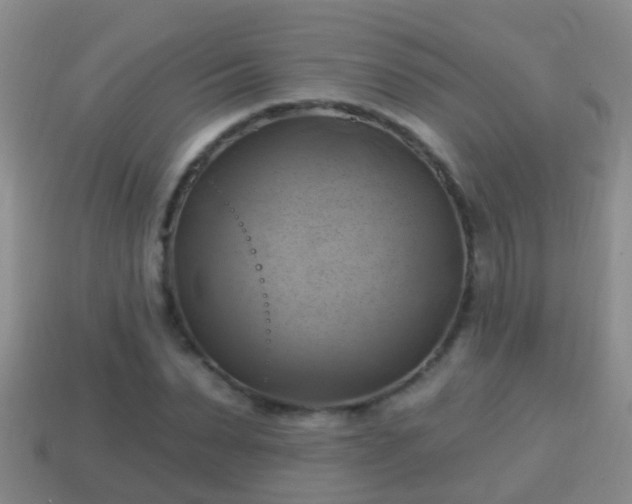 X0000114020879200910091411
