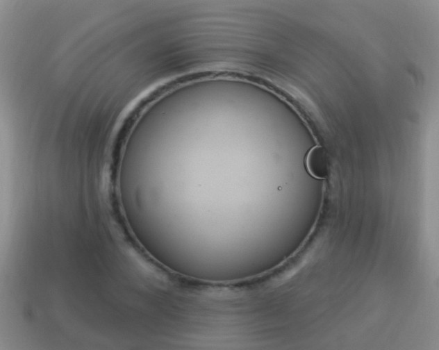 X0000114020880200910091411