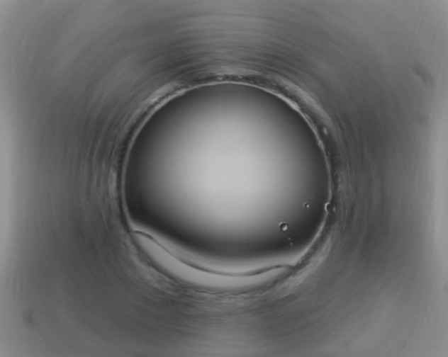X0000114020881200910091411
