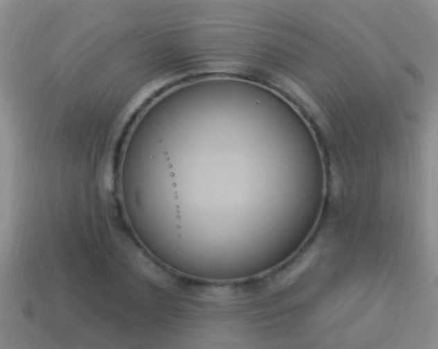 X0000114020883200910091411