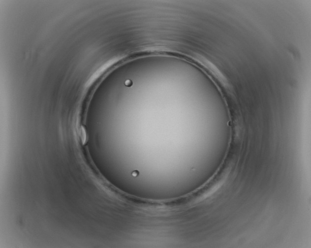 X0000114020885200910091411