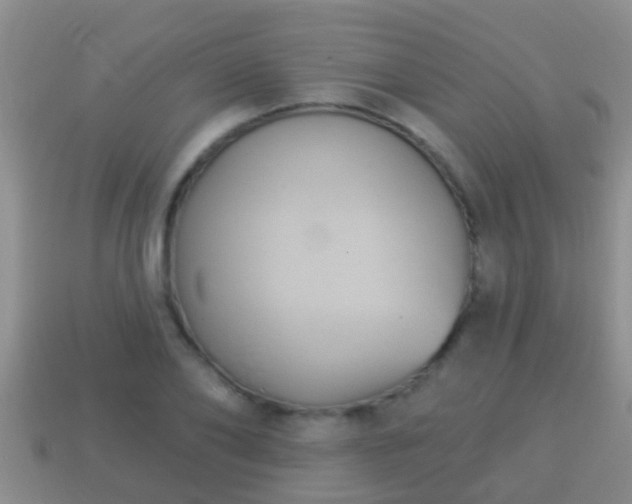 X0000114020886200910091411