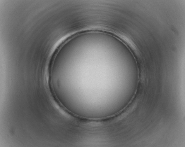 X0000114020888200910091411