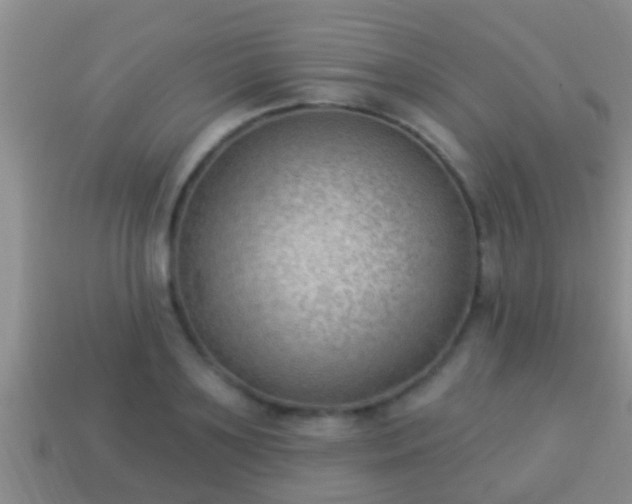 X0000114020891200910091411