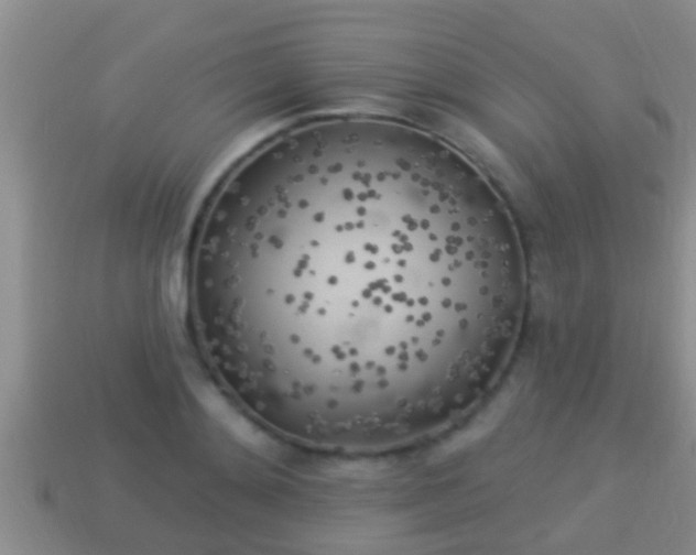 X0000114020892200910091411