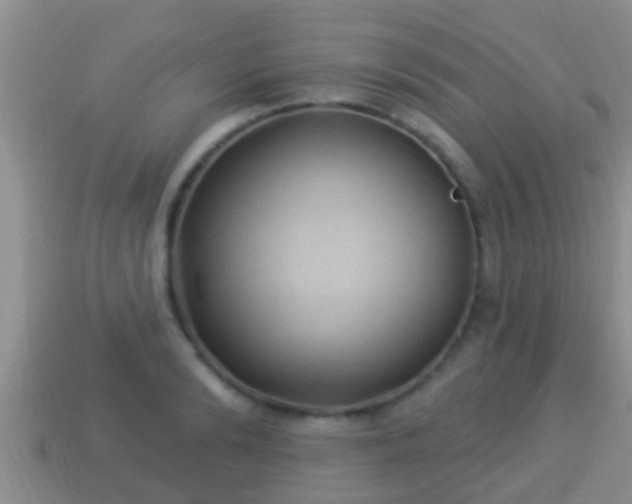 X0000114020894200910091411