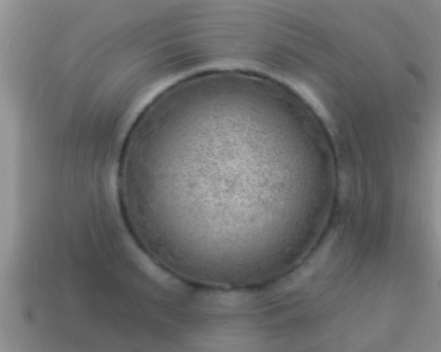 X0000114020895200910091411