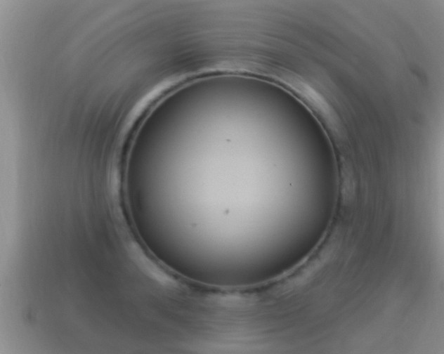 X0000114020896200910091411