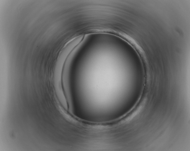 X0000114020897200910091411