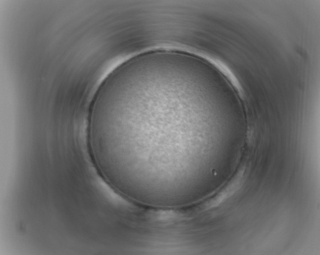 X0000114020903200910091411