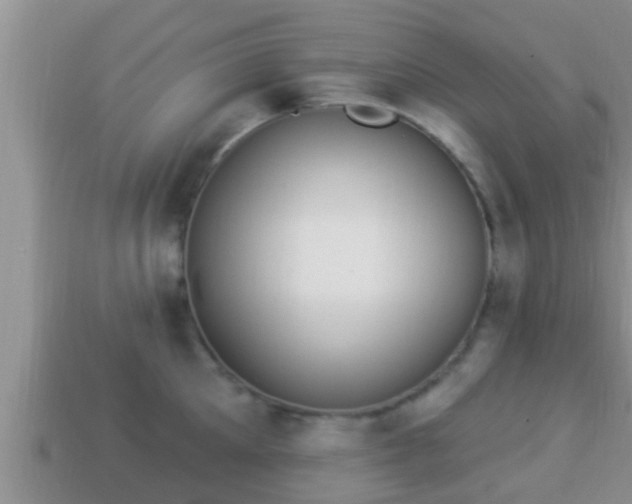 X0000114020905200910091411
