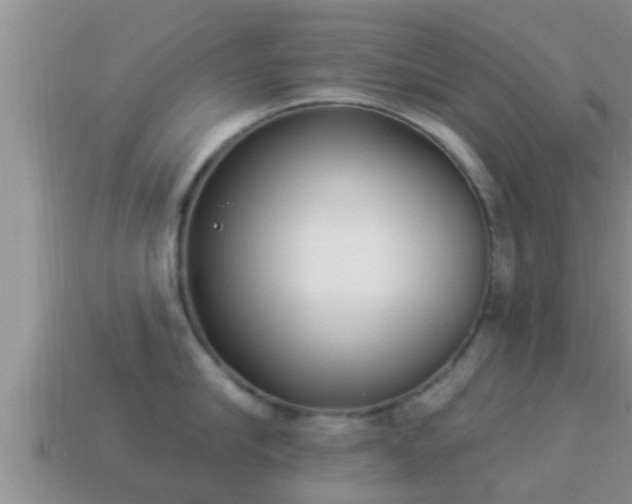 X0000114020910200910091411