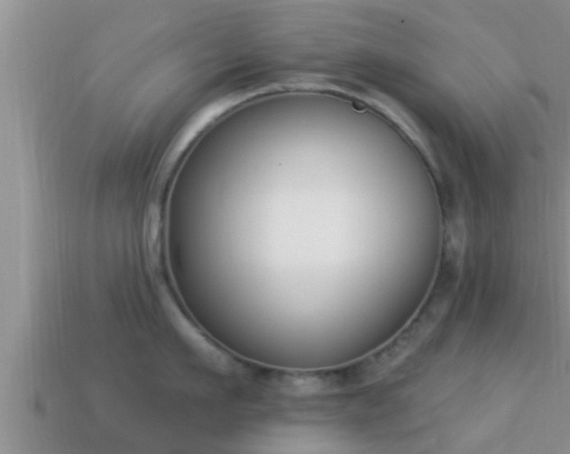 X0000114020911200910091411