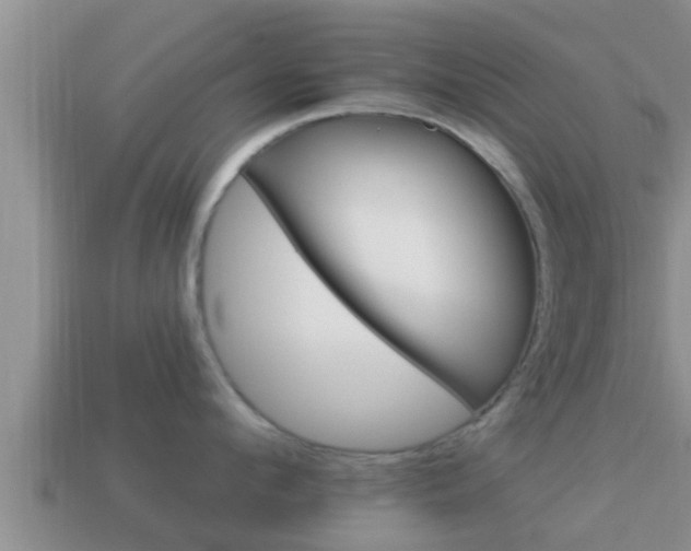 X0000114020912200910091411