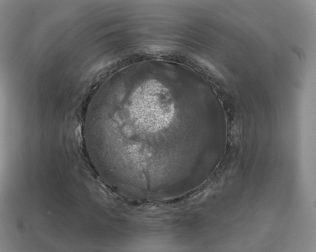 X0000114020917200910091410