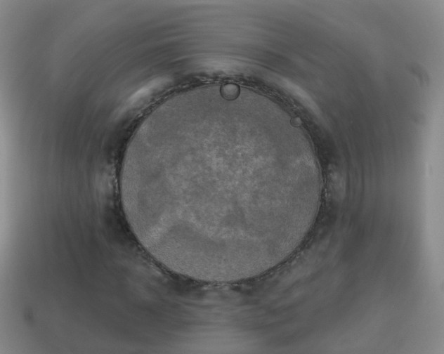 X0000114020918200910091410