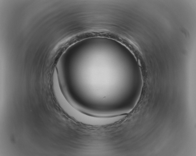 X0000114020920200910091410