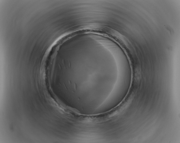 X0000114020923200910091410
