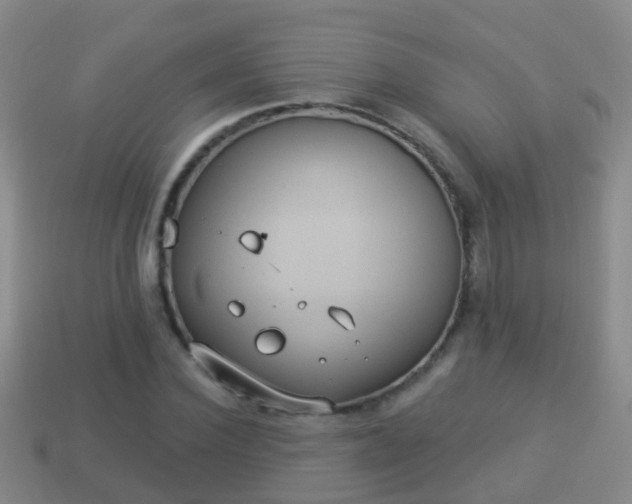 X0000114020924200910091410