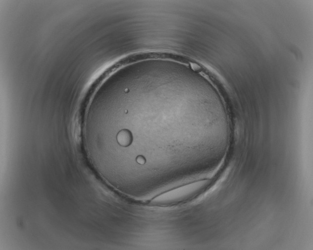 X0000114020925200910091411