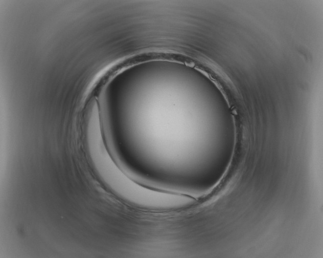 X0000114020926200910091411