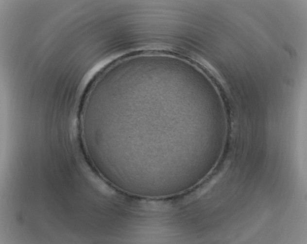 X0000114020928200910091411