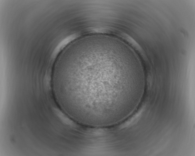 X0000114020930200910091411