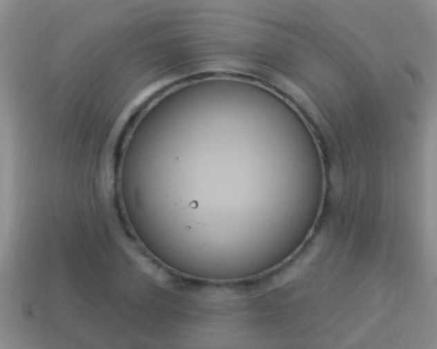 X0000114020931200910091411