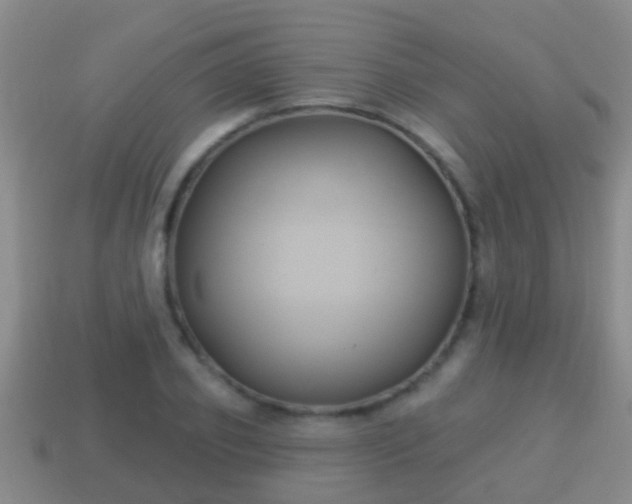 X0000114020933200910091411