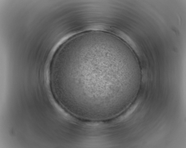 X0000114020939200910091411