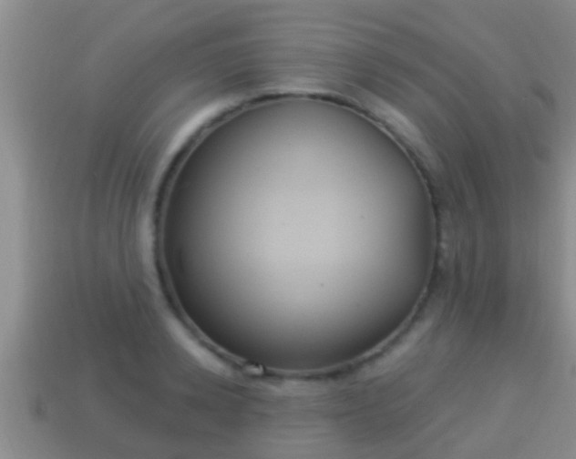 X0000114020942200910091411
