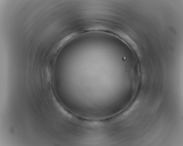 X0000114020945200910091411