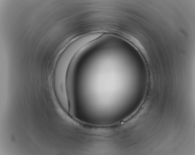 X0000114020946200910091411