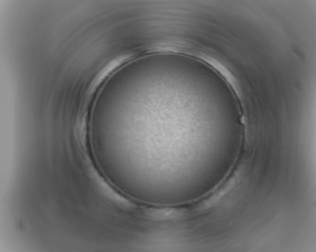 X0000114020949200910091411