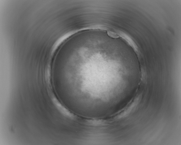 X0000114020952200910091411