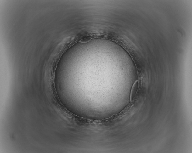 X0000114020961200910091410