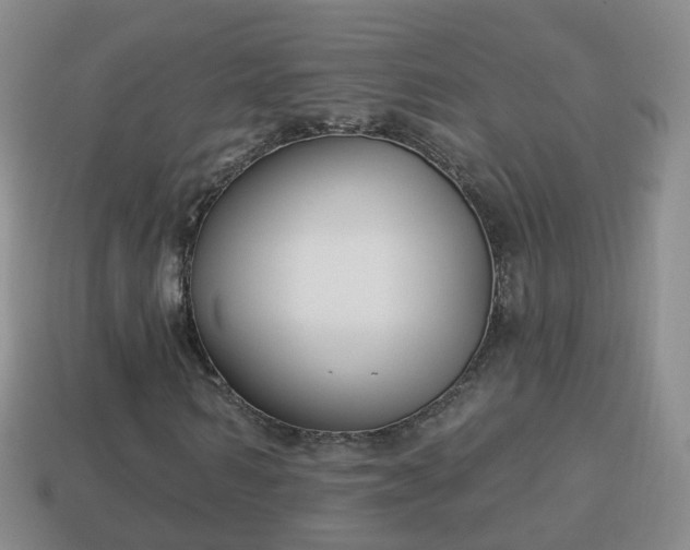 X0000114020962200910091410